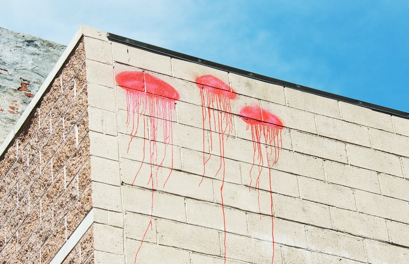 Jelly Fish on the Wall