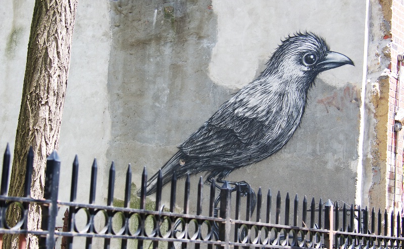 Perched by Roa