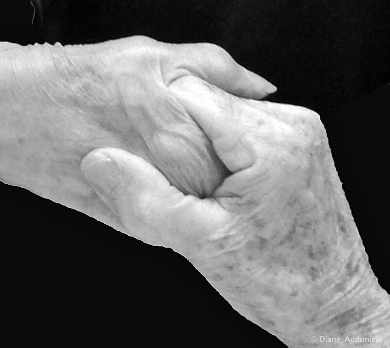 Seasoned Love