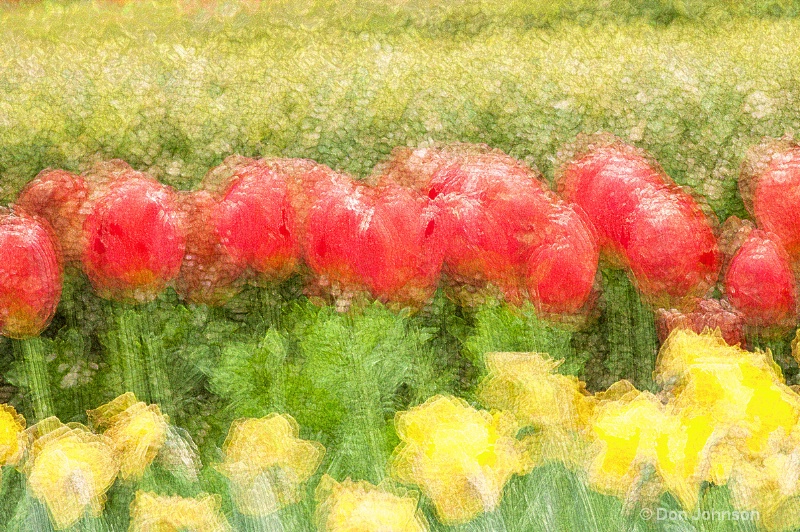 Artistic Tulips