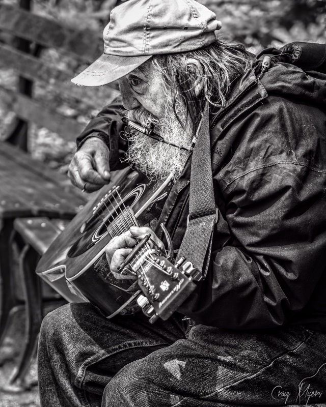 Street Muscian-Chicago
