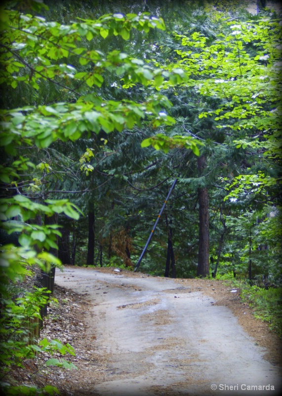 Down the Lane