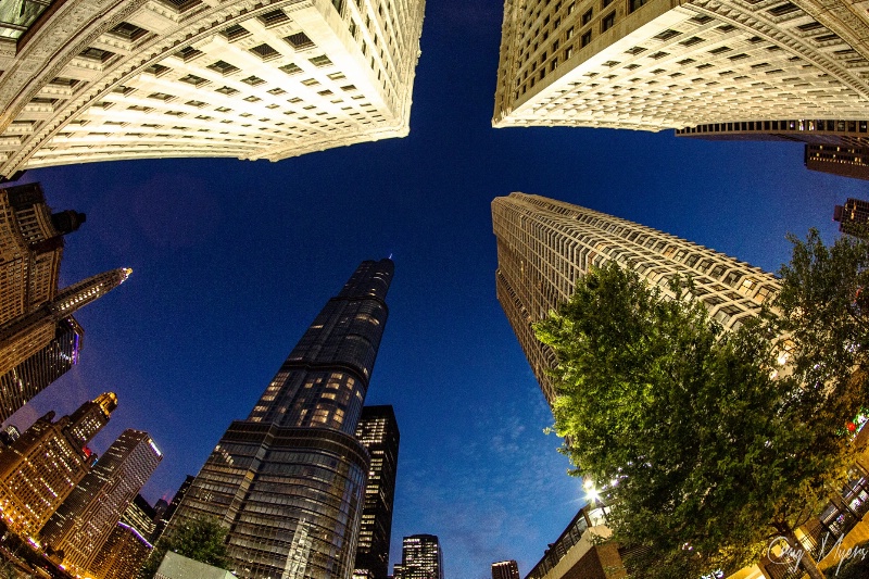 Twilight Perspective