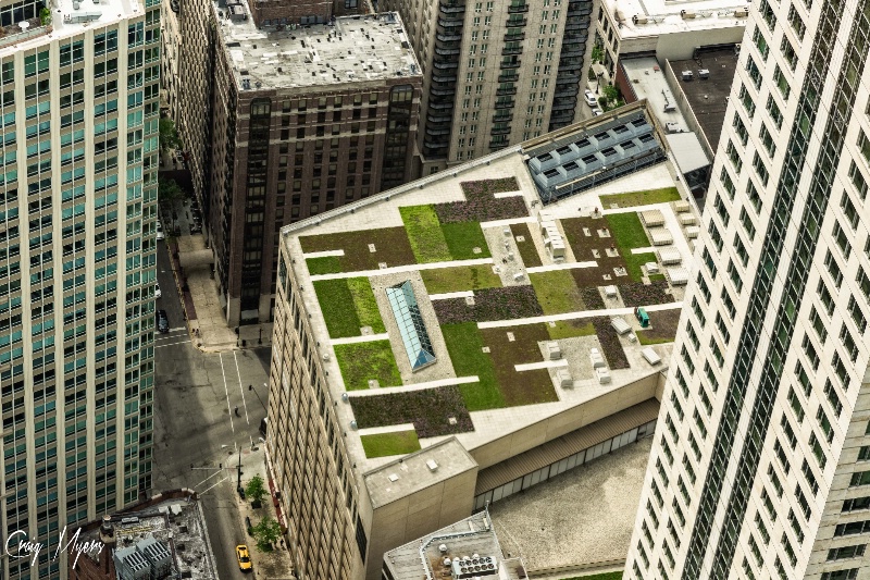 Roof Gardens
