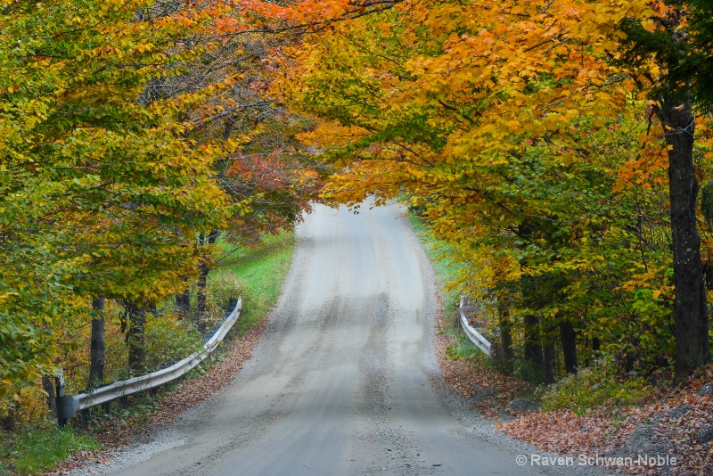 Fall Road to where?