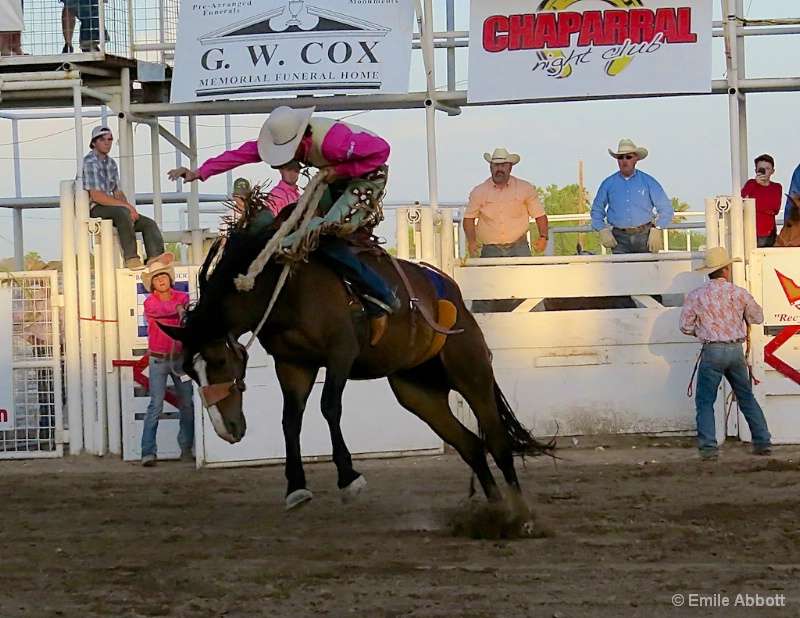 Bronco Riding