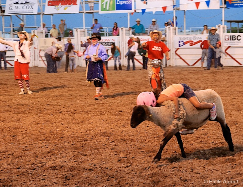 Mutton Busting