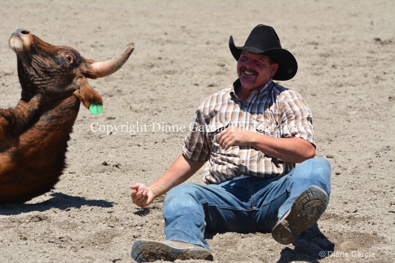 ujra parent rodeo 2014  3 