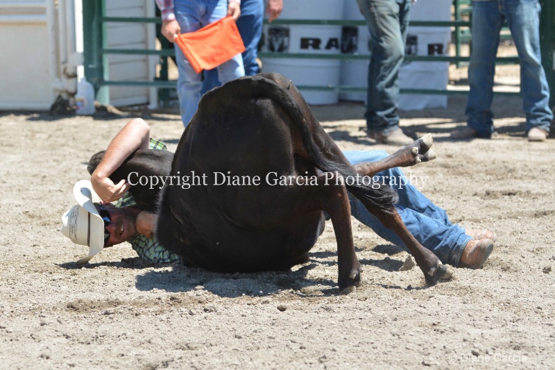 ujra parent rodeo 2014  10 