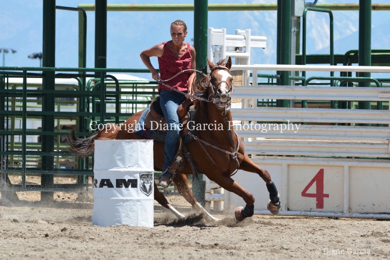 ujra parent rodeo 2014  39 