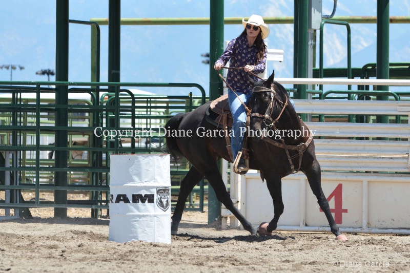 ujra parent rodeo 2014  56 