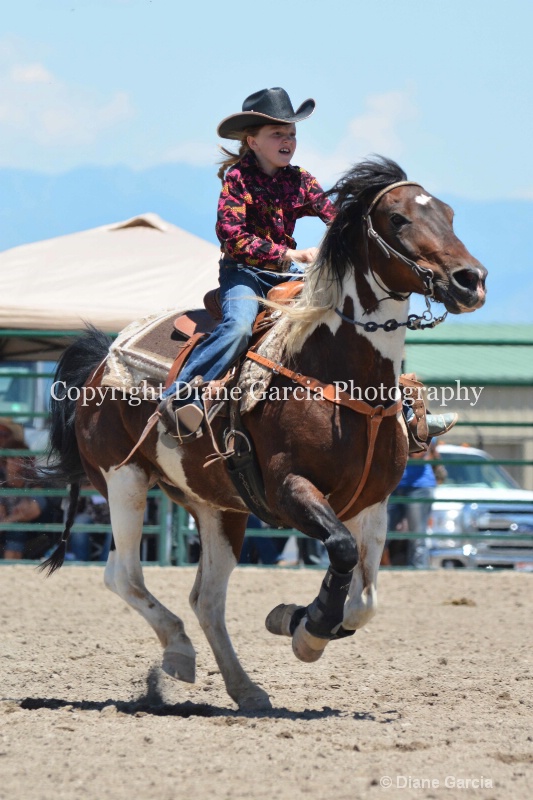 ujra parent rodeo 2014  62 