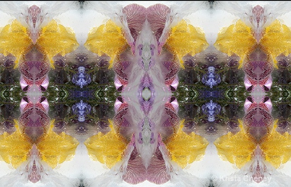 Iris in ice—kaleidoscopic