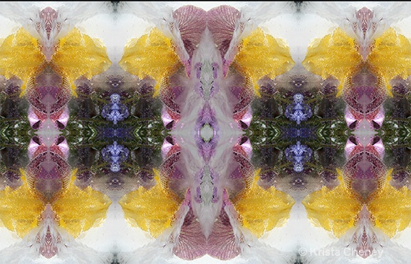 Iris in ice—kaleidoscopic