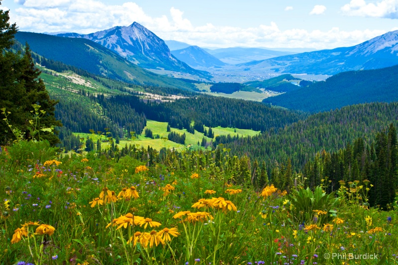 Washington Gulch View