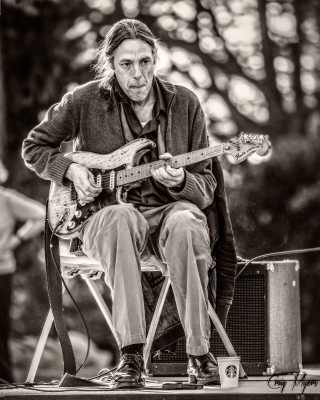 Jazz Guitarist
