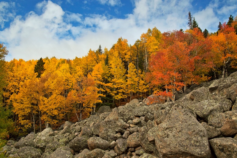 A Bit of Rocky Mountain Autumn Color