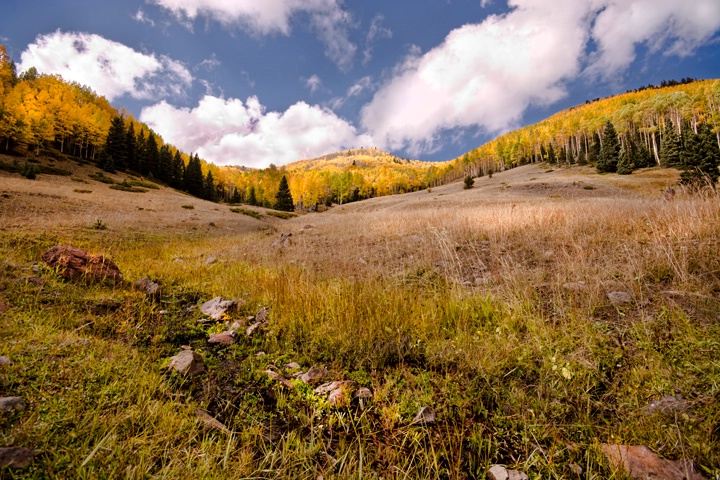 Fall in New Mexico