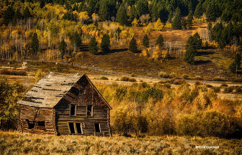Dilapidated barn in the golden landscape