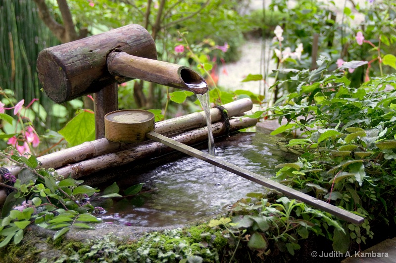 tea garden fountain