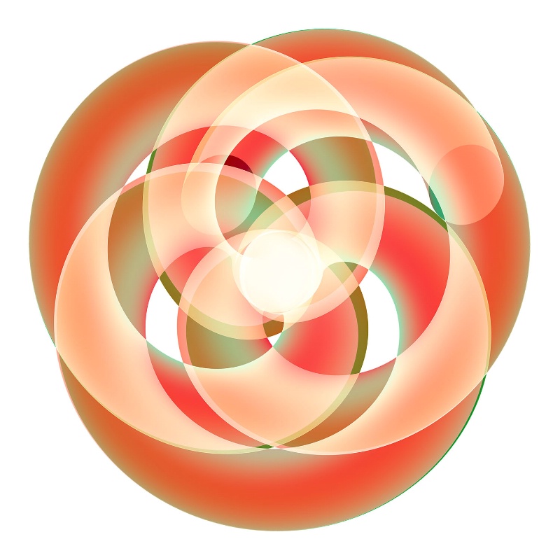 Knotted Torus #6