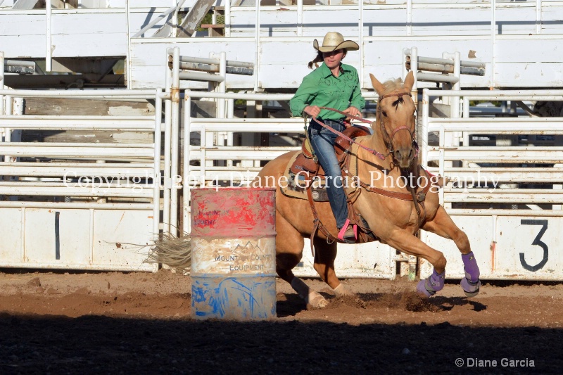 amanda dubois jr high nephi 2014 2