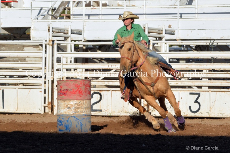 amanda dubois jr high nephi 2014 4