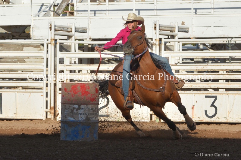 amy mason jr high nephi 2014 2