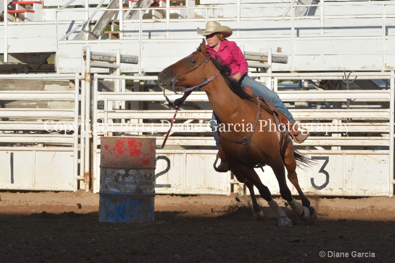 amy mason jr high nephi 2014 4