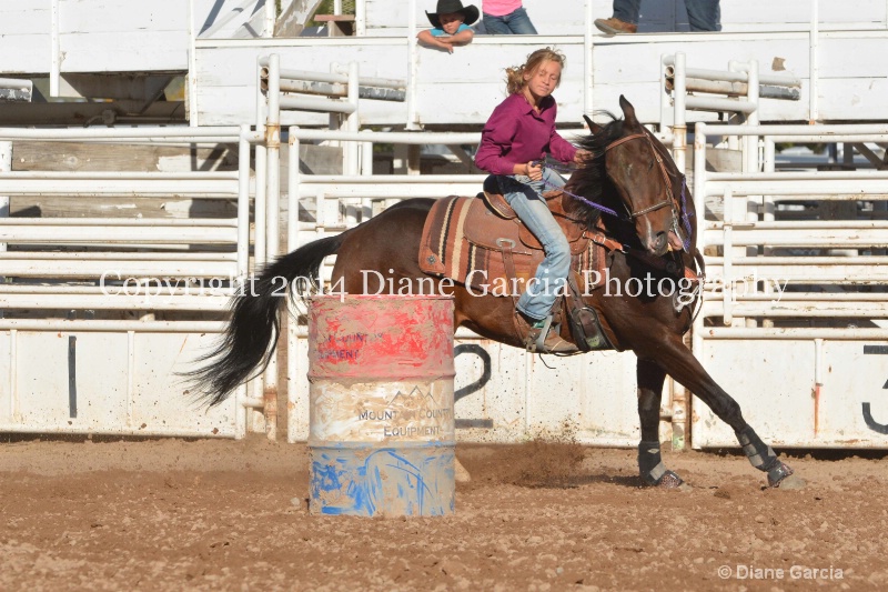 aubrey gourdin jr high nephi 2014 2