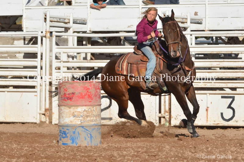 aubrey gourdin jr high nephi 2014 3