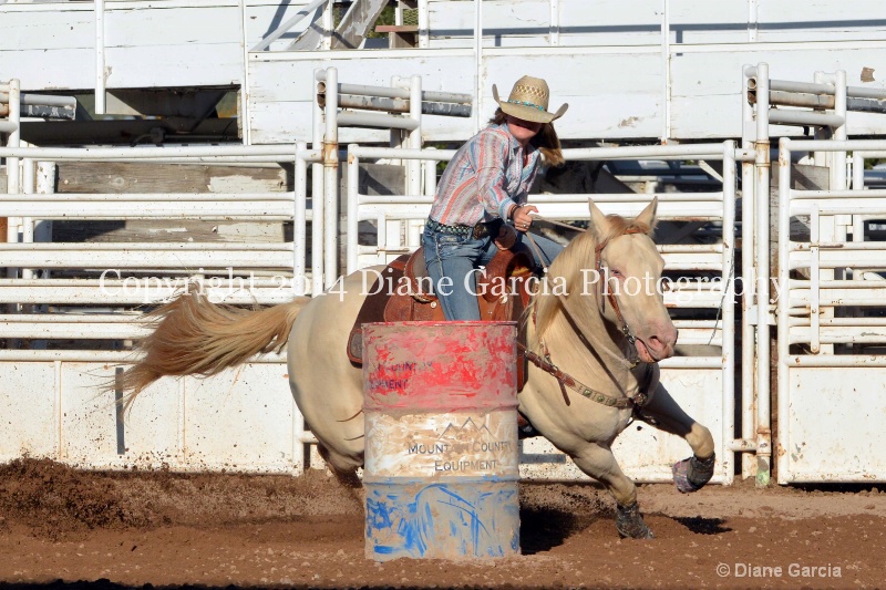 courtney halverson jr high nephi 2014 1