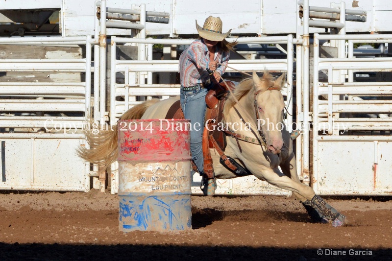 courtney halverson jr high nephi 2014 2