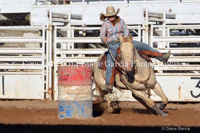 courtney halverson jr high nephi 2014 3