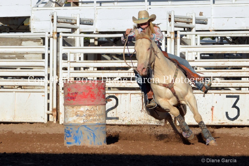 courtney halverson jr high nephi 2014 4