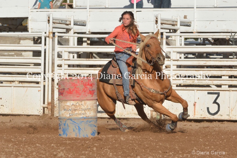 dennika moody jr high nephi 2014 2