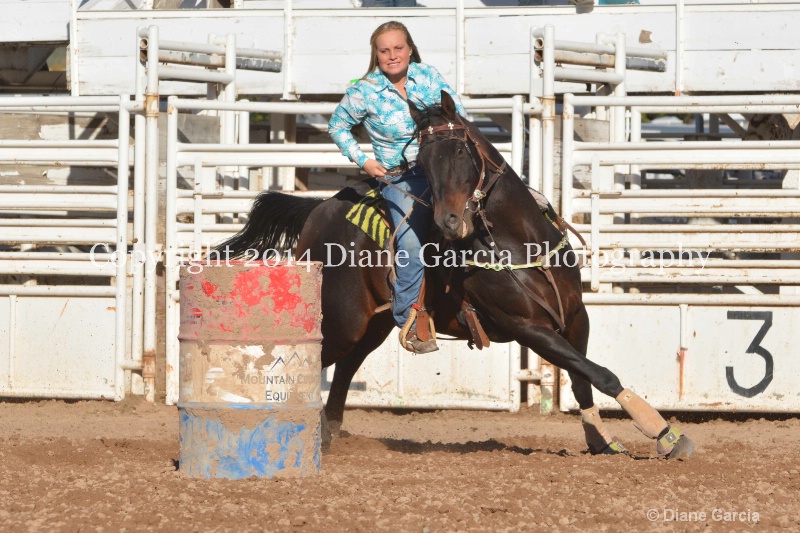 elizabeth huffman jr high nephi 2014 1
