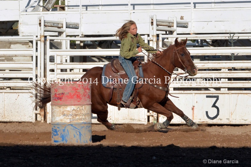 gracie stickler jr high nephi 2014 1