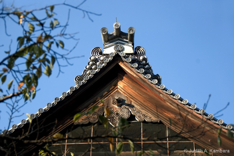 Nanzenji Temple roof
