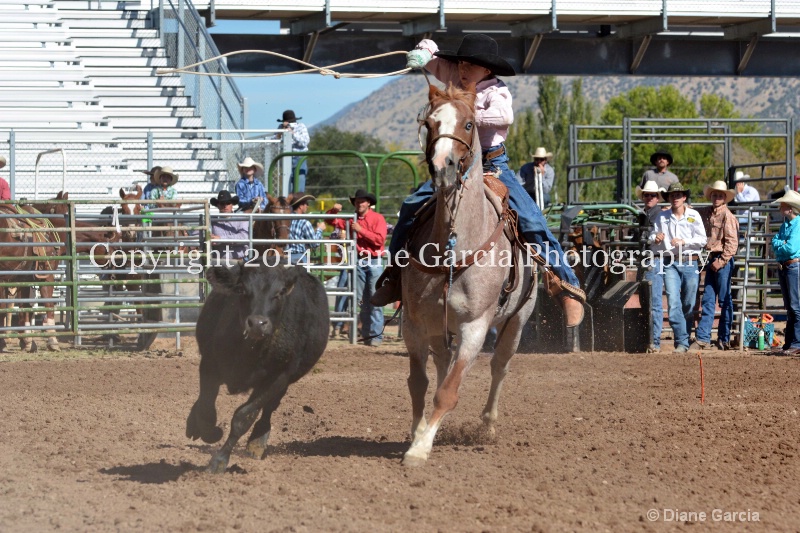ram hughes 5th and under nephi 2014 3