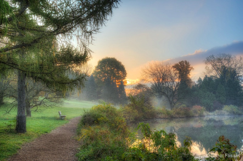 A Quiet Autumn Morning at Morton Arboretum