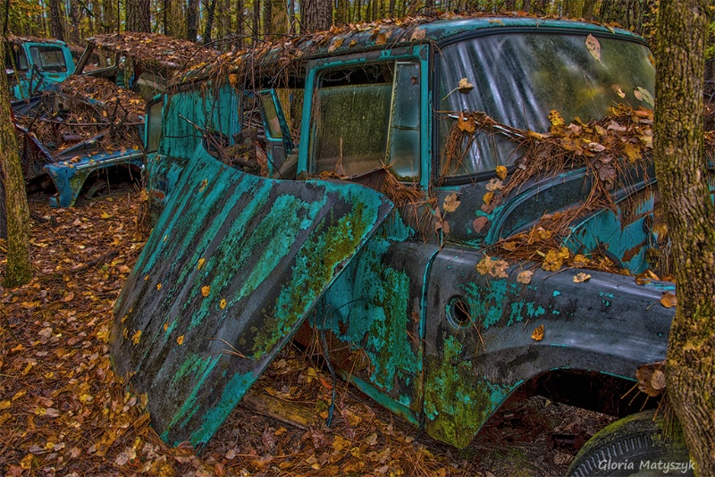 Rusted Car - Old Car City, White, GA