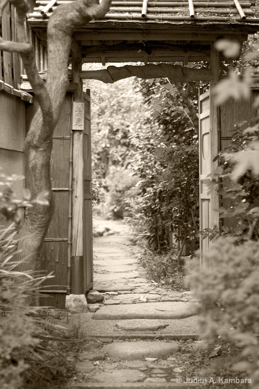 glimpse into a Japanese garden (b&w)