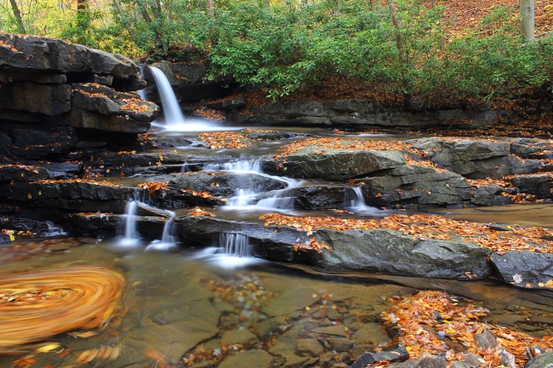 Swirling Leaves at Jonathan Falls