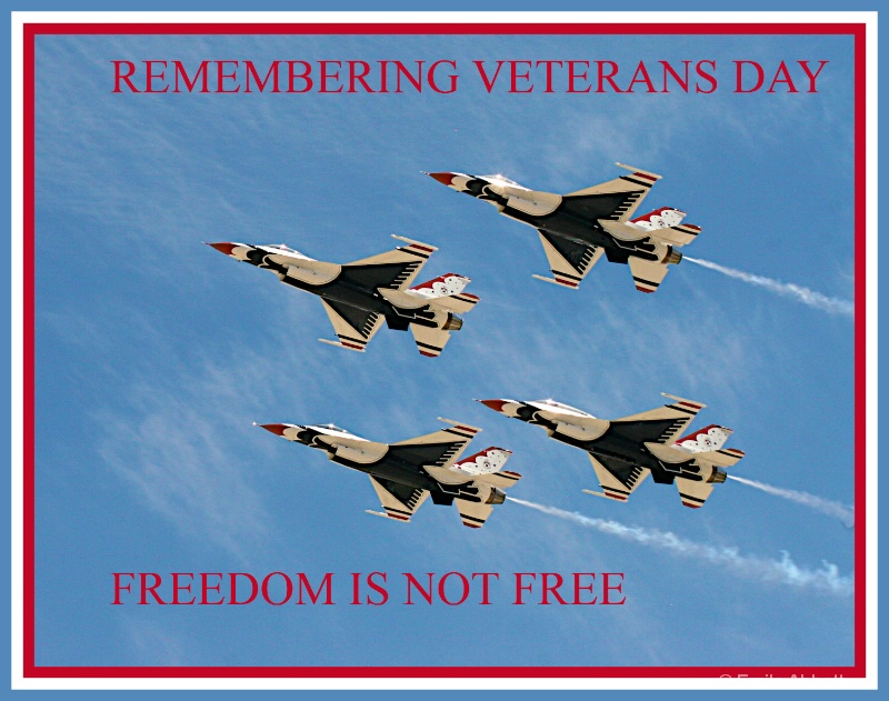Remembering Veterans Day