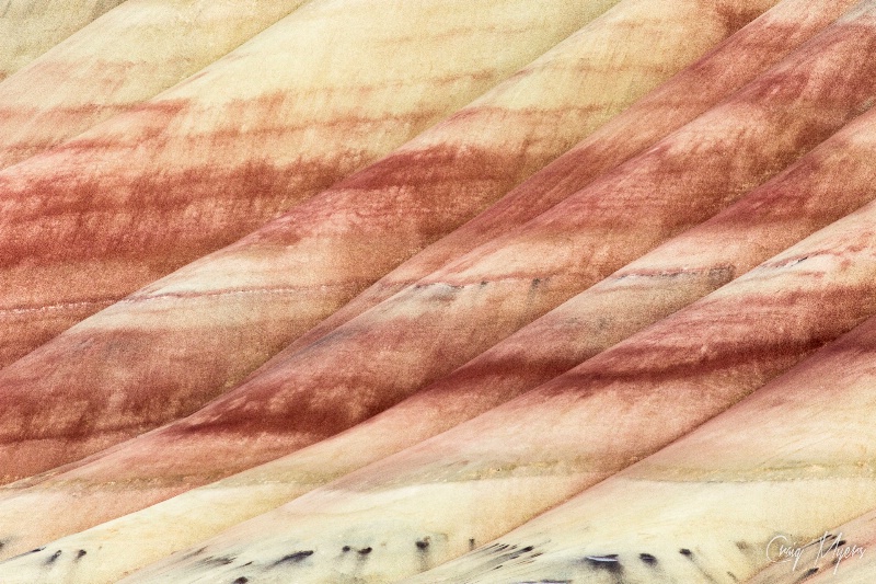 Painted Hills, Study 5
