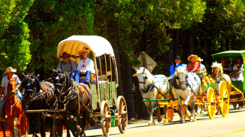 Pony Express Parade