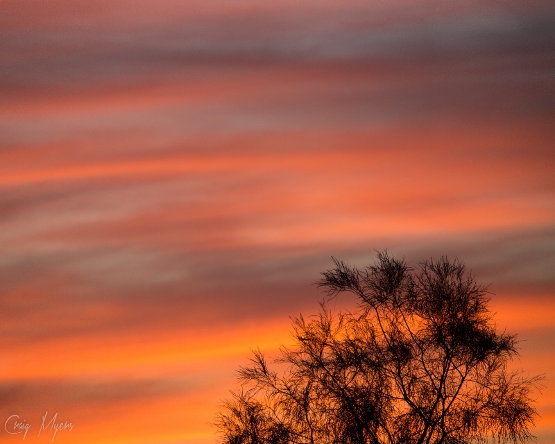 Luminous Skies