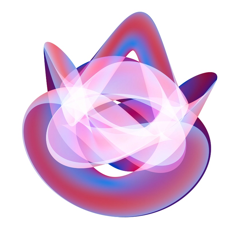 Knotted Torus #10