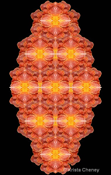 Marigold in ice—kaleidoscopic